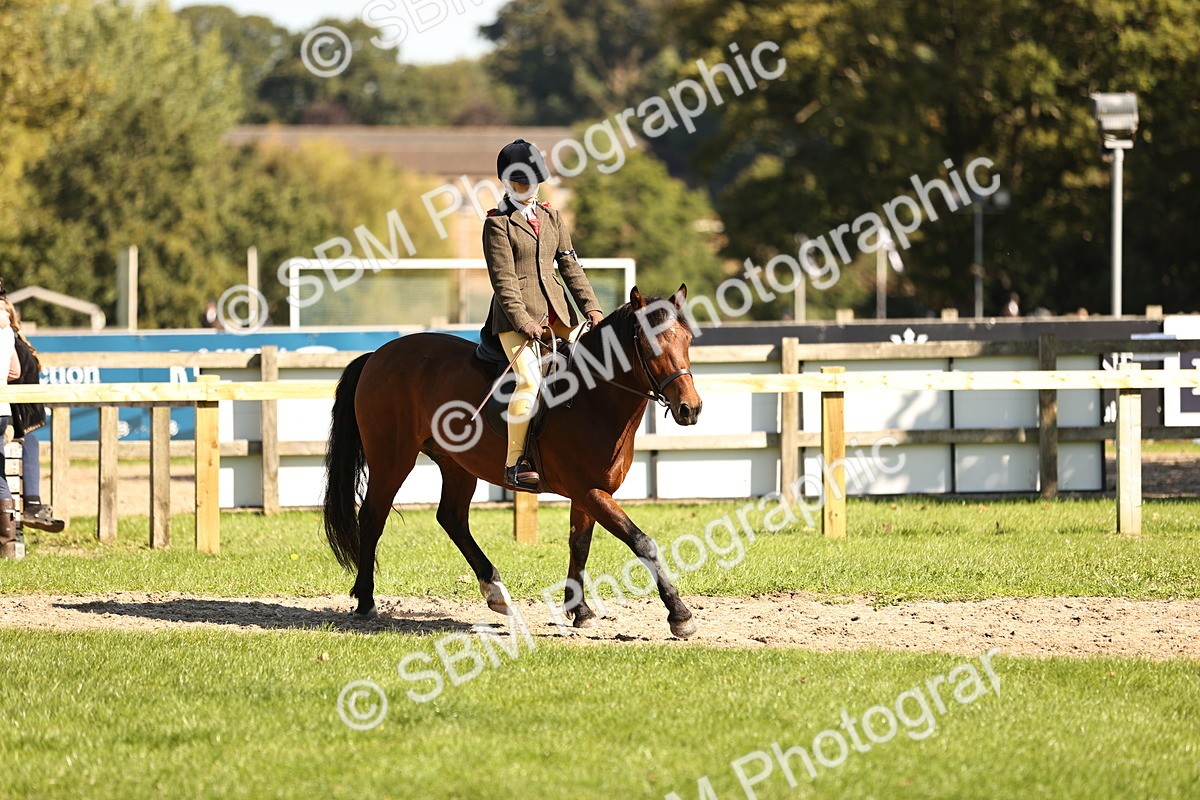 SBM_19165 - S3 - TSR Ridden Pony Showing