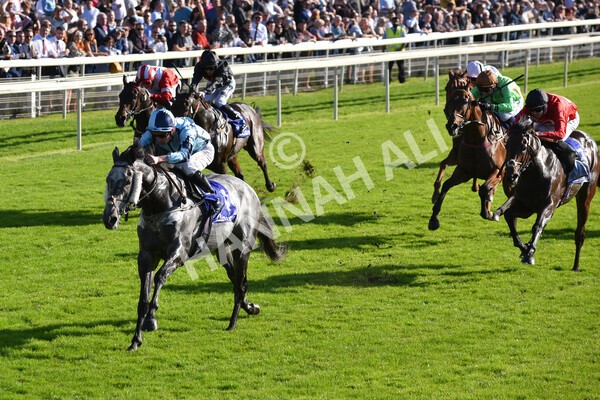 yr08102021r3-28 - Race 3 3.15pm Download The Casumo App Today Handicap