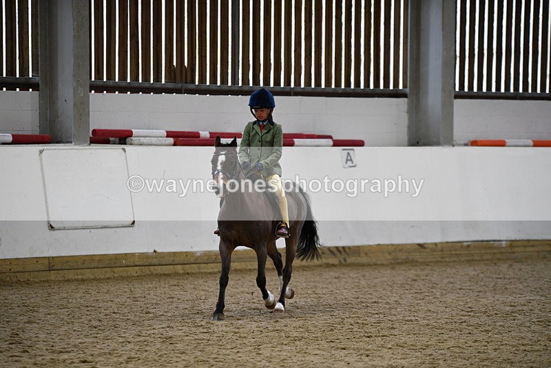 WJ5_6864 - Class 10 Childs Pony