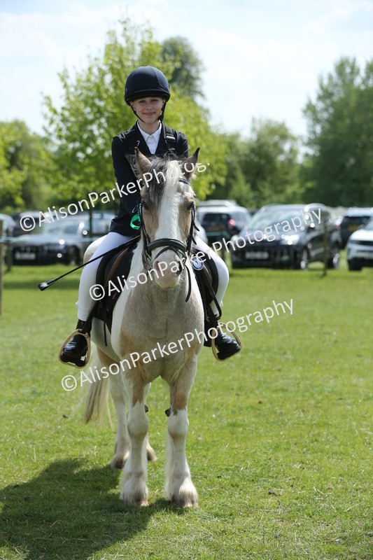 20250427-3453 - Class 8 - Handsomest Gelding