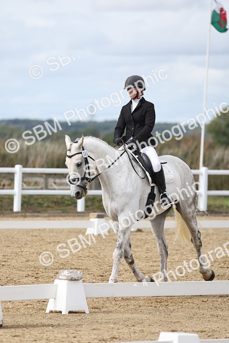 SBM_003828 - Class 8 - Novice 3 Champs