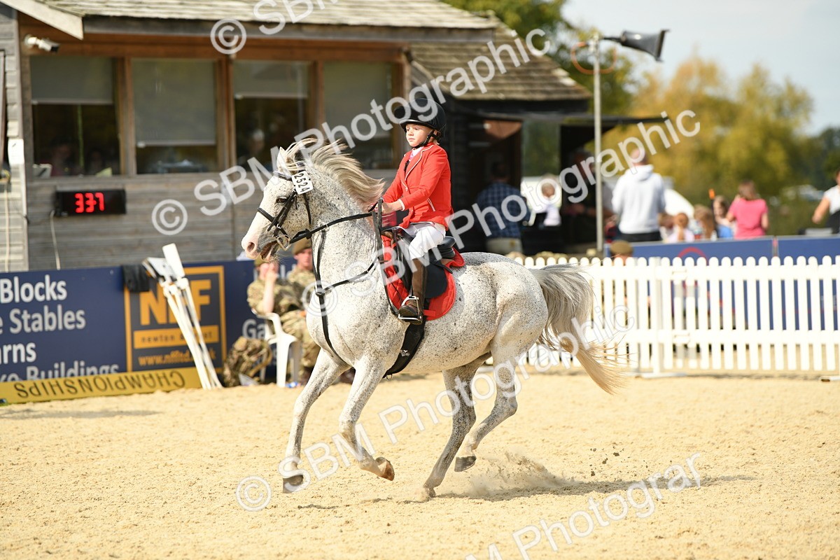 SBM_65126 - J48 - Pairs Jumping Open 70cm & 85cm