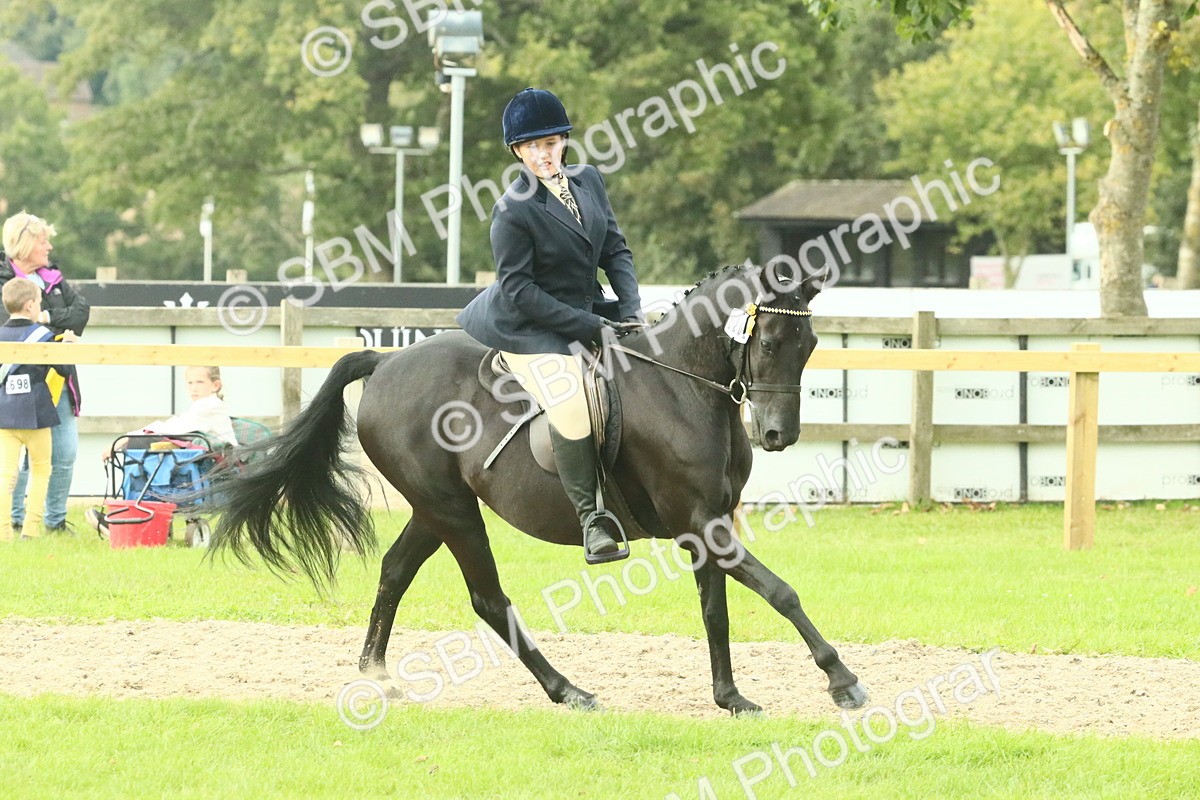 SBM_74105 - S 61 - Show Pony & Show Hunter Pony Ridden