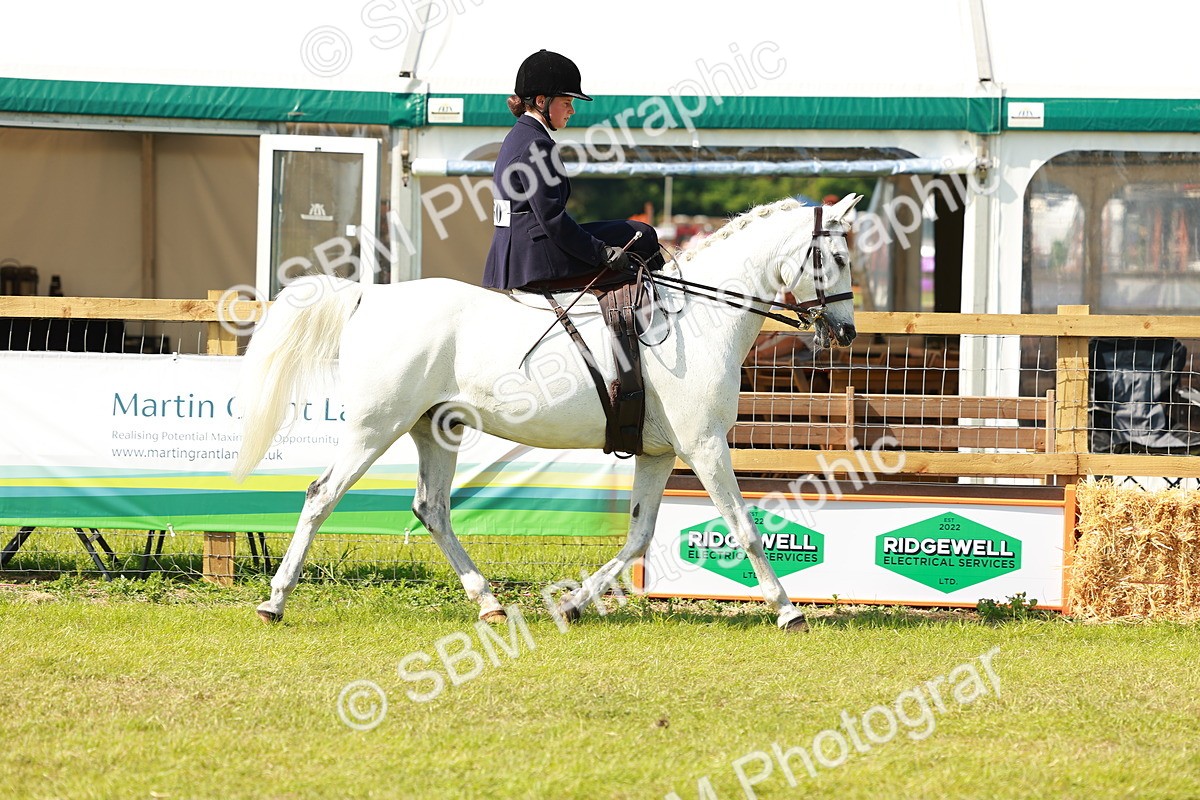 SBM_13127 - Class 70-71 - Side Saddle