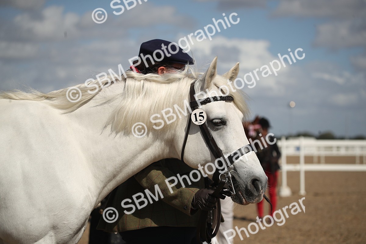 SBM_23129 - Class 606 - 2026 - Area - IH Pre Vet