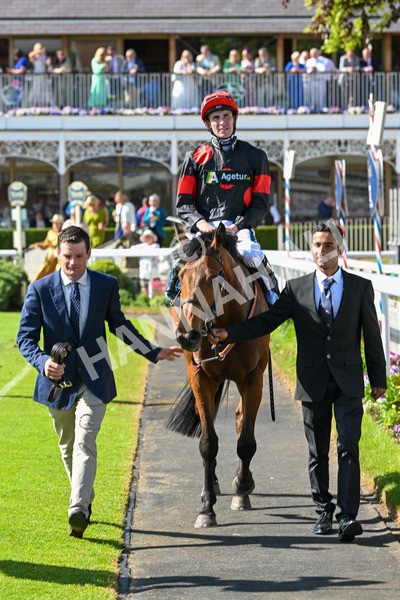 140525-Race 5-Rare Change-2790 - Race 5 4.18pm Conundrum HR Consulting Handicap