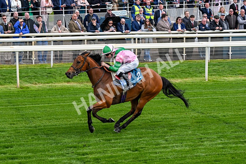 140526-Race 2-Jakajaro-0094 - Race 2 2.20pm Lindum York Handicap