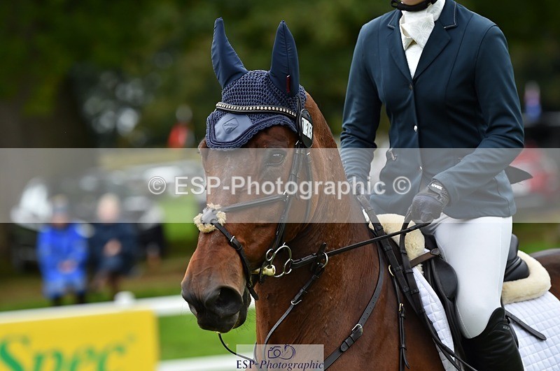 231021-115046-16283 - 035-ZADOK.D-Charlie.Piper-SJ