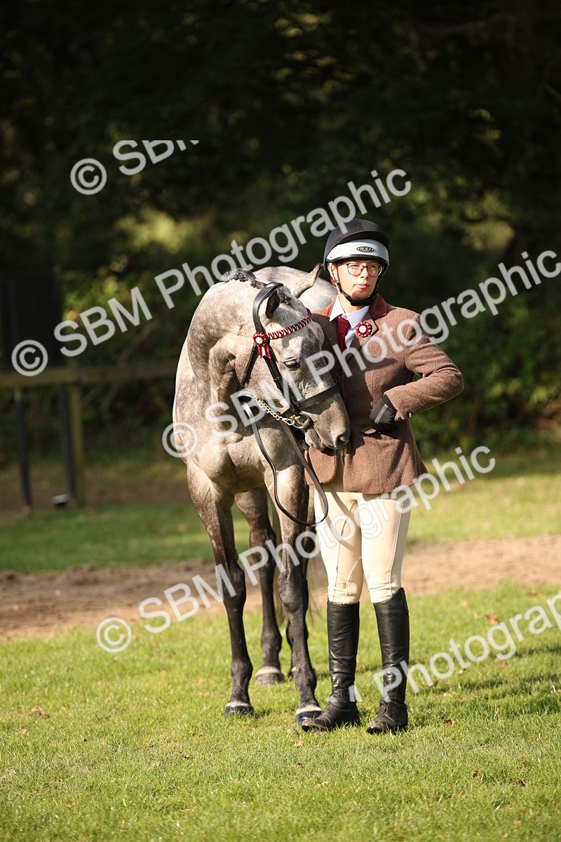 SBM_59388 - S52 - Other Coloured Horse In Hand