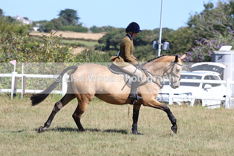 3E7A5795 - Class 5: Working Hunter 90cm