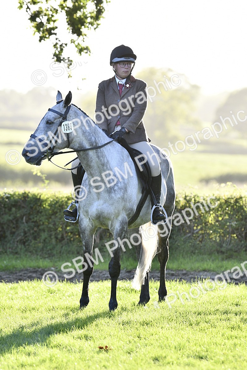 SBM_53575 - S14 - Riding Club Horse