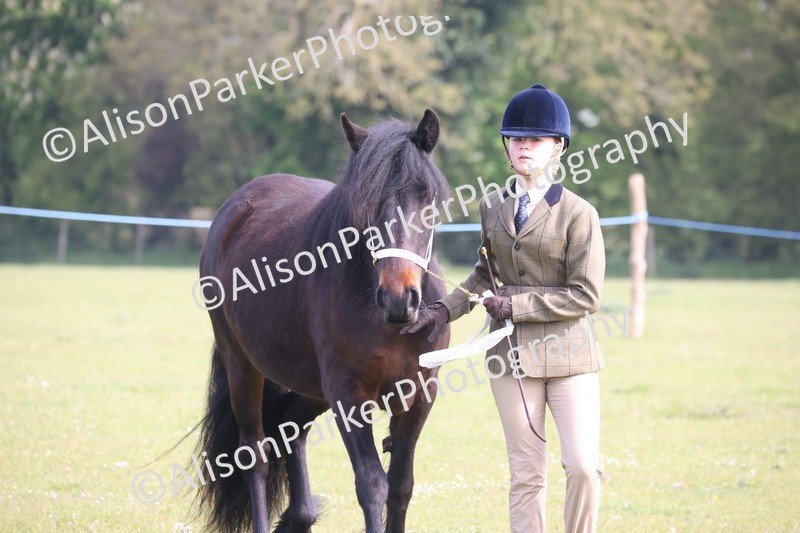 20260426-0687 - Class 23 - Youngstock