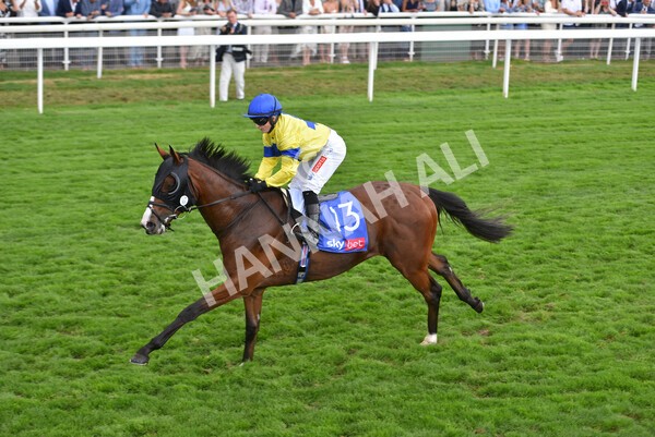 yr20082022r2-42 - Race 2 2.35pm Sky Bet Melrose Stakes