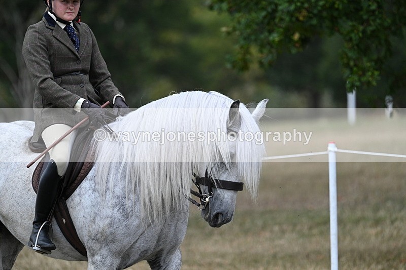 WJ7_4746 - Class 12 Ridden Cob
