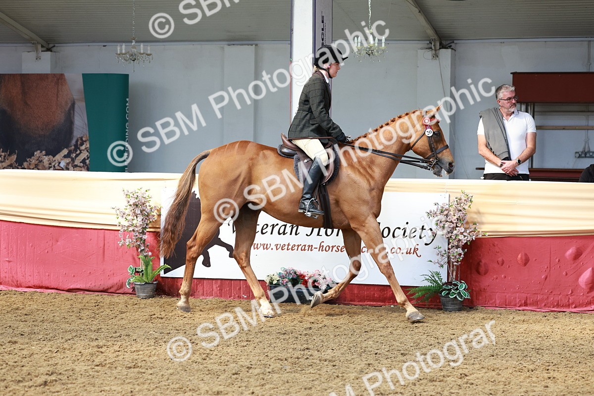 SBM_14888 - Class 108 - Ridden Retired Racehorse