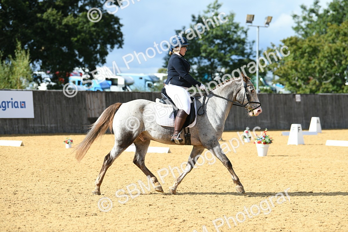 SBM_09796 - D15 Small Tour Championship Novice 24