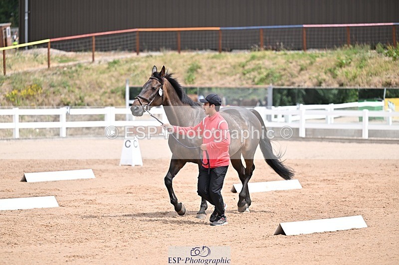 250716-132049-00447 - Trot Up 12.30 to 1.30