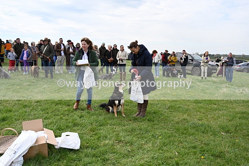 WJ6_8585 - Class 6 Best Rescue