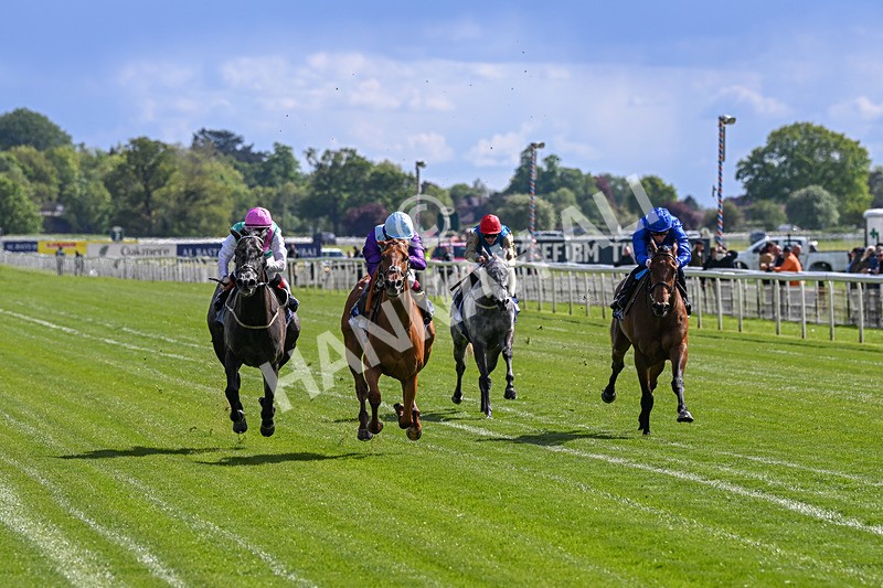 140526-Race 4-See The Fire-5138 - Race 4 3.30pm Al Basti Equiworld Dubai Middleton Fillies' Stakes