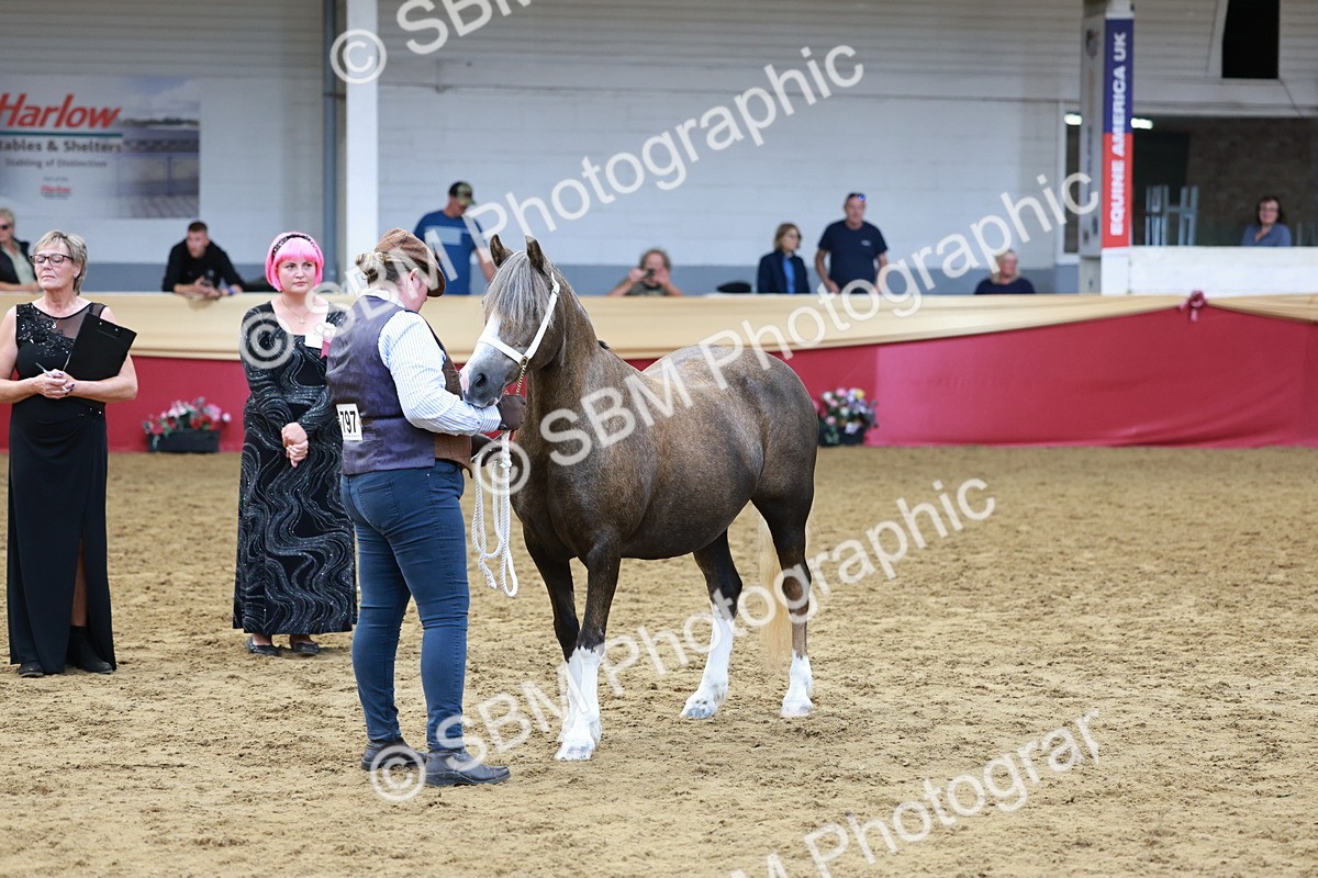 SBM_17454 - Class 951 - M&M IH Supreme Final