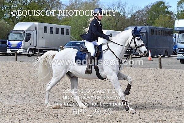 BPP_2670 - FRI CLASS 4 95CM AM CHAMP QUAL