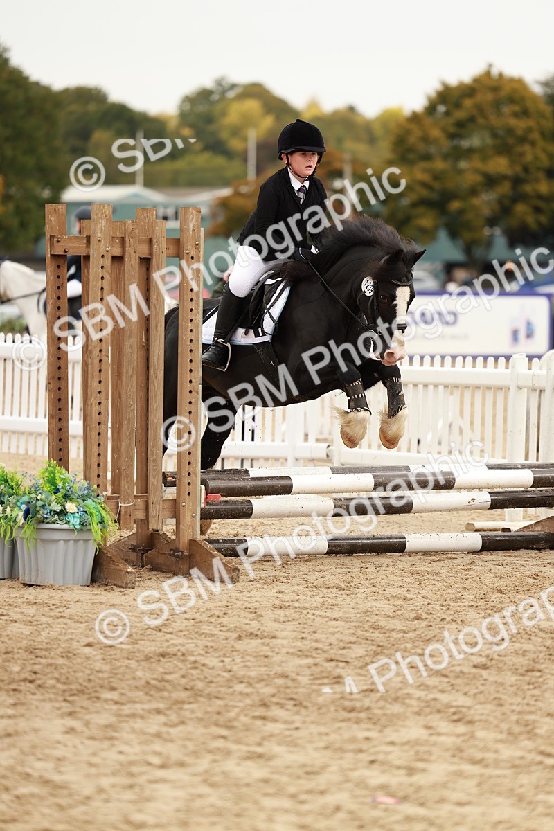 SBM_58025 - J11 - Junior Pony 50cm Championship