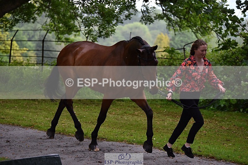 240522-152924-00376 - 360-JELSON-Lucy_Collecott