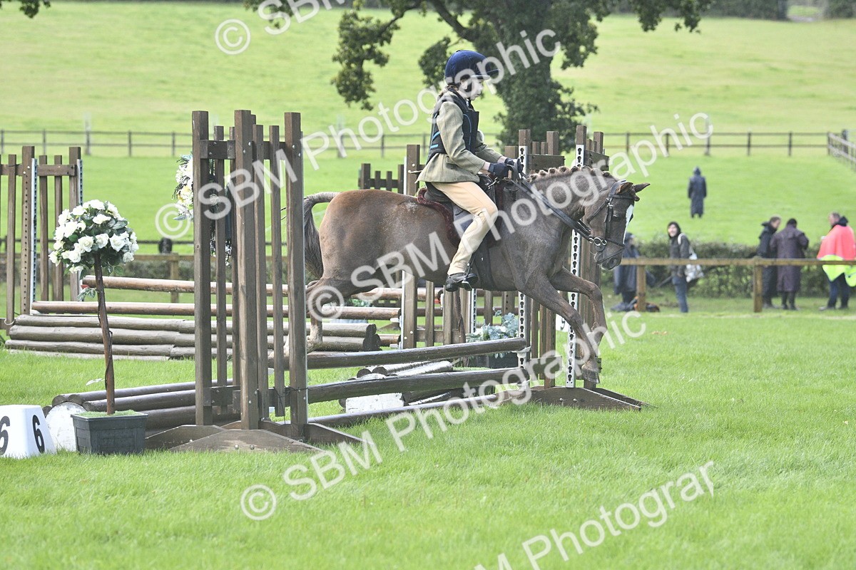 SBM_37198 - S31 - Novice & Newcomer Working Hunter Pony