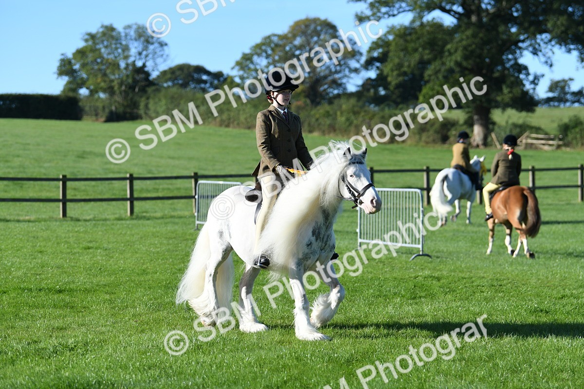 SBM_34142 - S16 - Condition & Turnout - Ridden