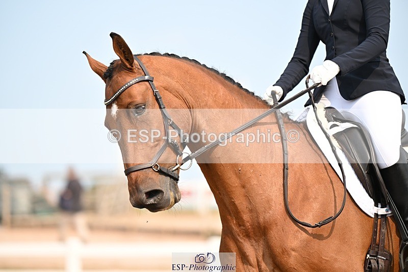 250816-150949-06108 - 128-Eleanor.RobinsonSky.Point