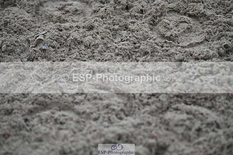 241103A-133226-08290 - SUN Cls 22 Blue Chip Performance Champ Q and Open