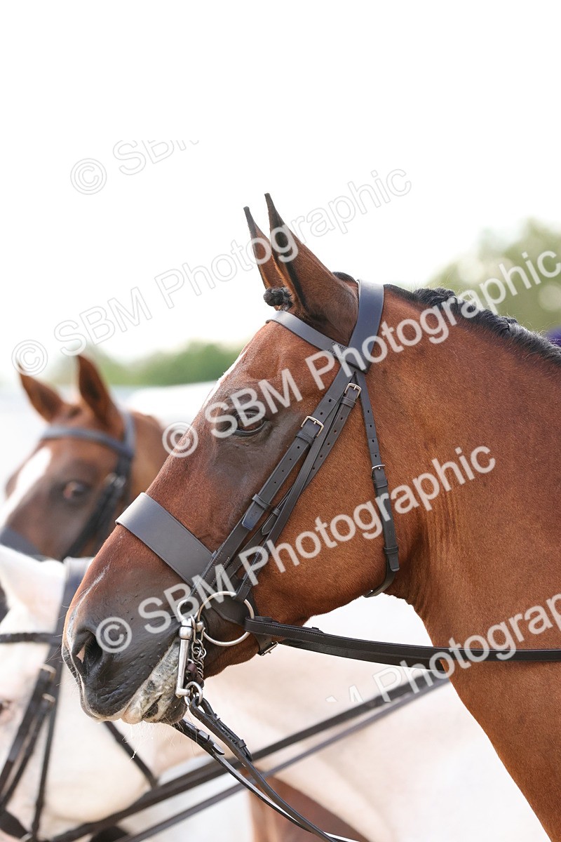 SBM_13560 - Class 212 - Ridden Hunter  - Large