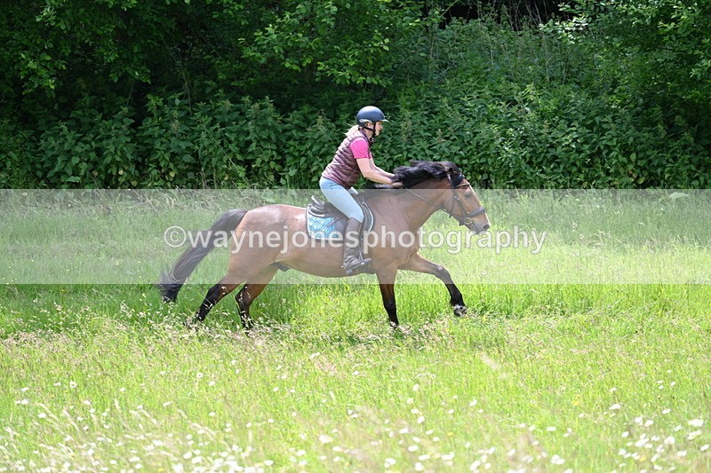 WJ7_8852 - Group 4 11am