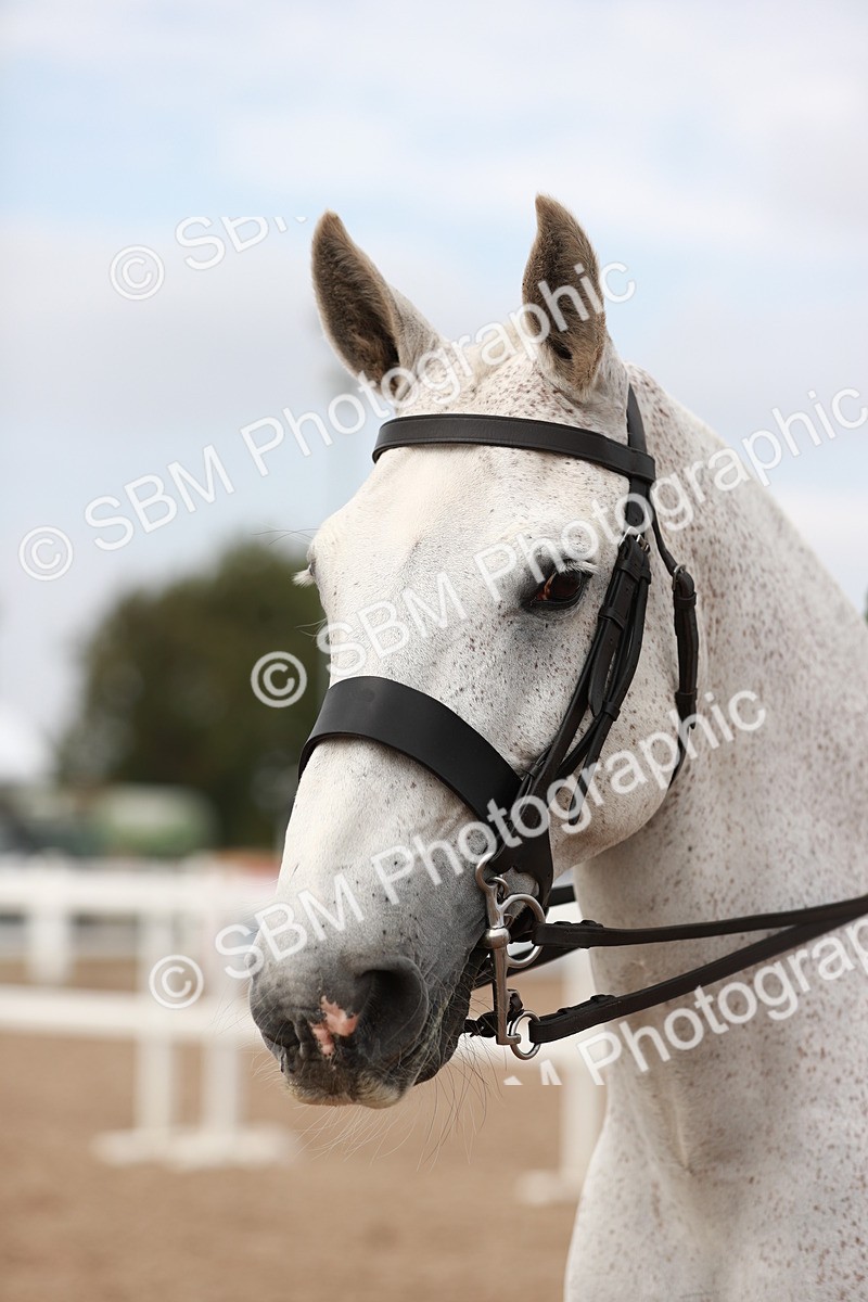 SBM_16731 - Class 214 Ridden Cob