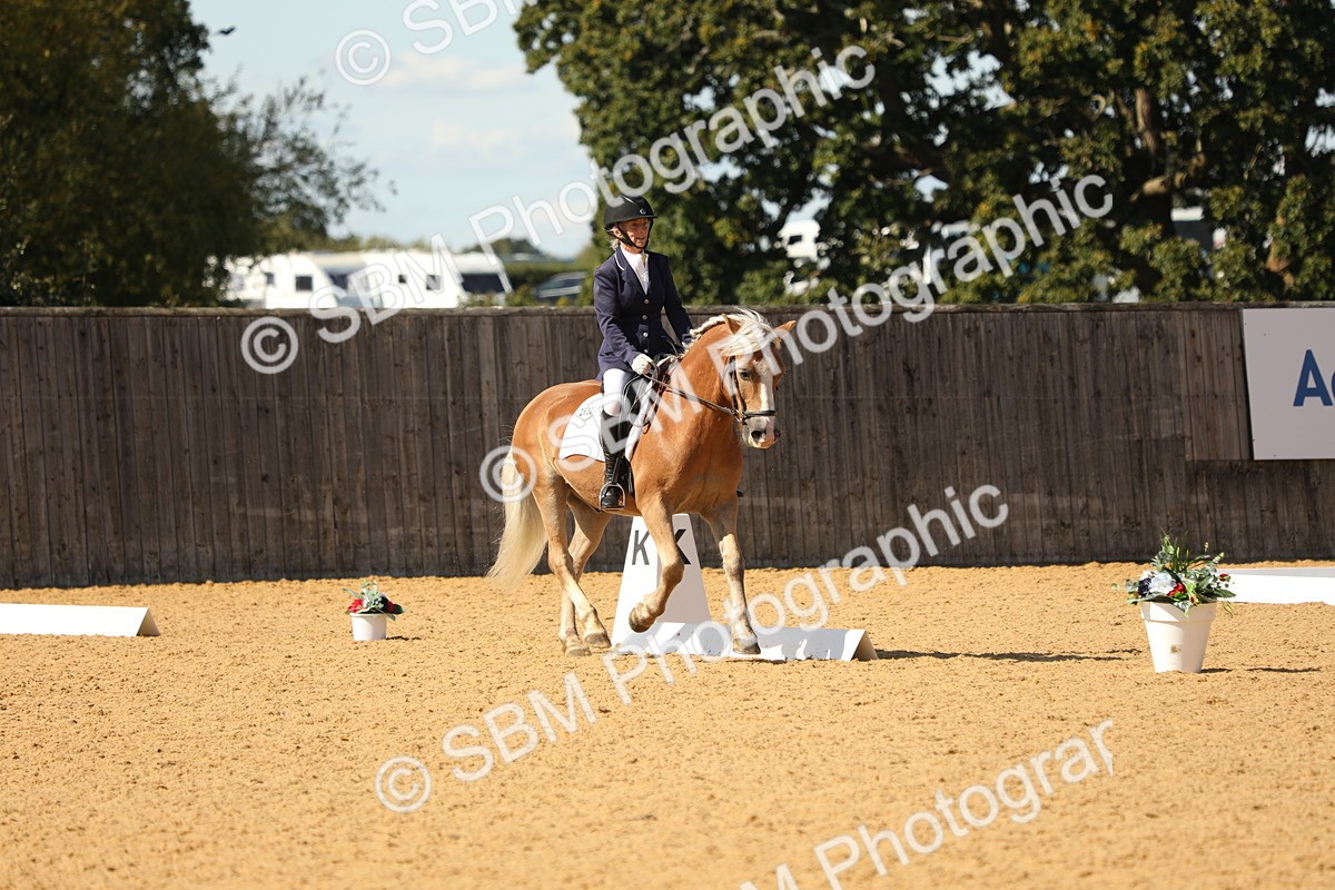 SBM_22388 - D17 - Grand Tour Championship - Novice 27
