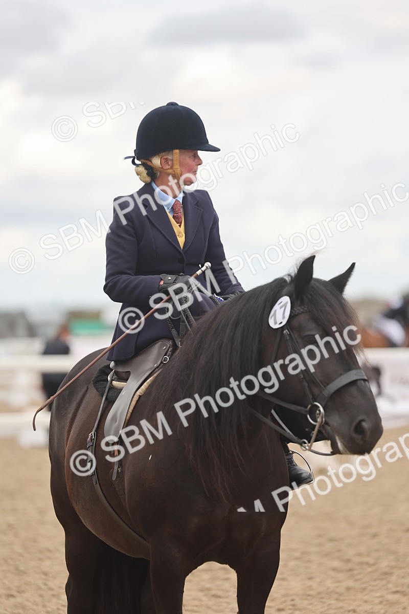SBM_06389 - Class 22 - SSA - Equitation