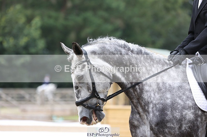 230812-100315-03116 - Cls 5 Novice Bronze Start to 10.55 break