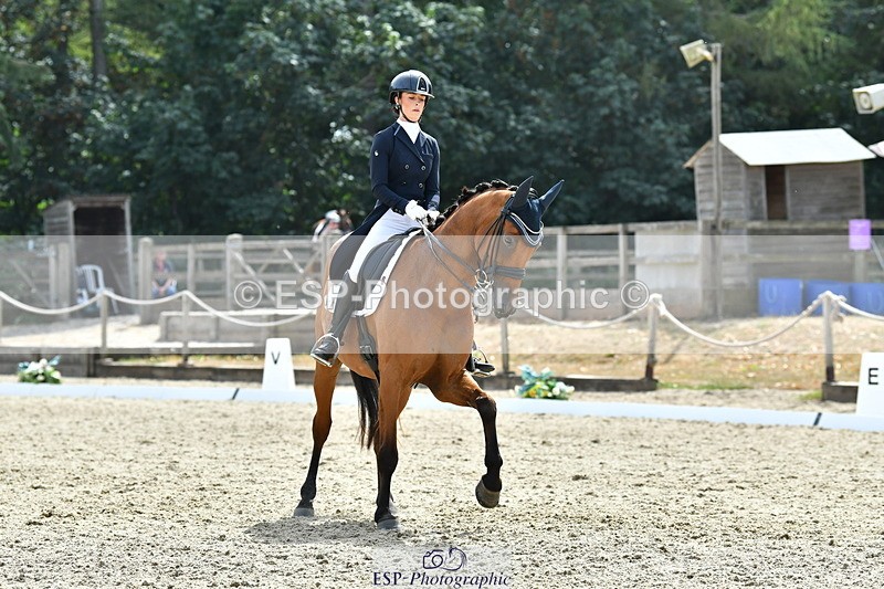 260802A-153427-07494 - Intermediate Bronze