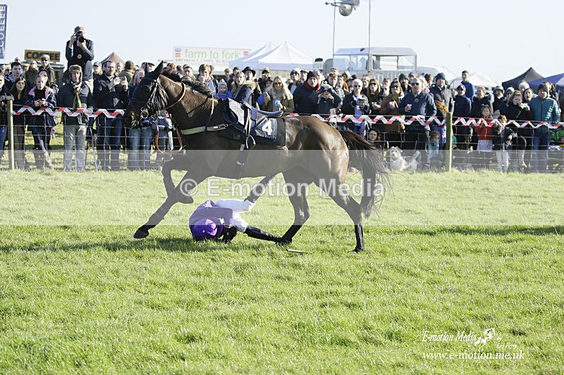 PtP 300122 141 - South Dorset Hunt - Point-to-Point Races 30/01/2022