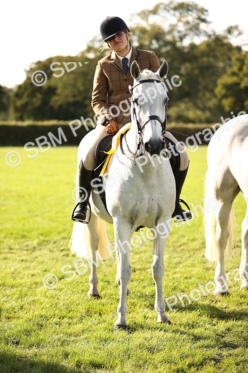 SBM_26497 - S6 - Novice & Newcomers Ridden Horse