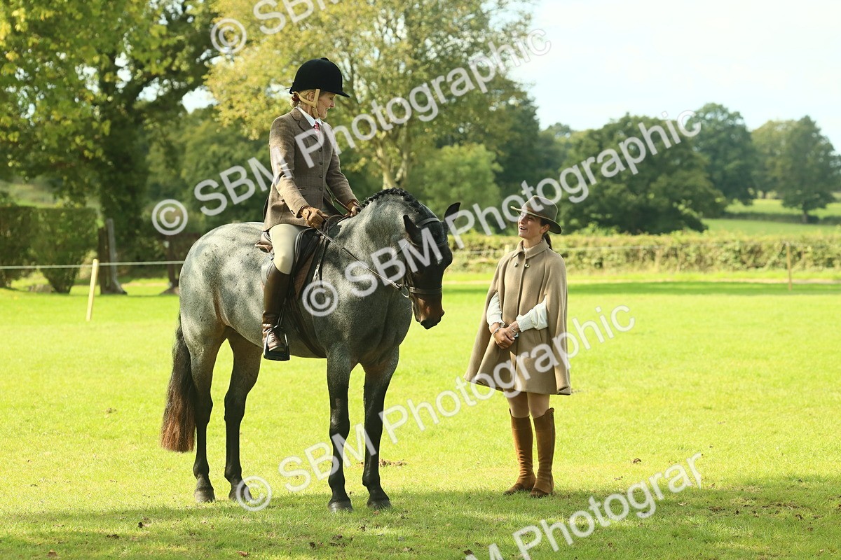 SBM_62597 - S63 - Other Coloured Horse Ridden
