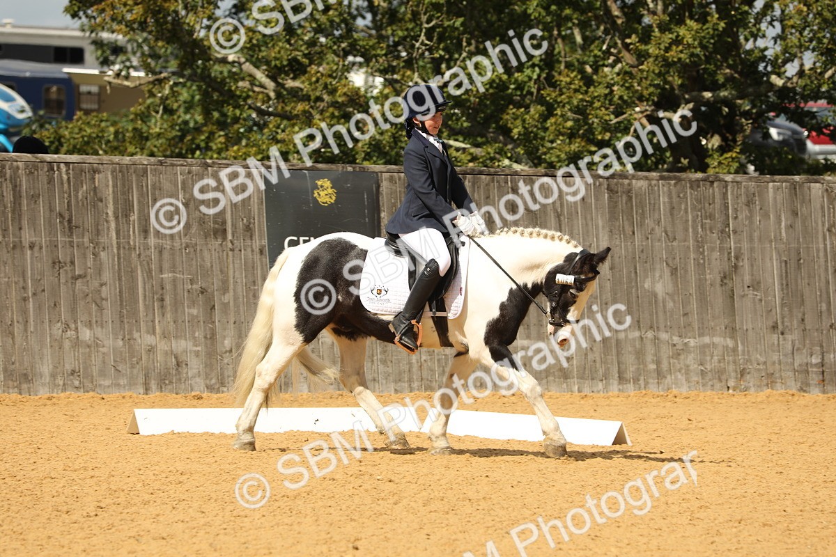 SBM_41905 - D21 - Junior Championship - Intro A