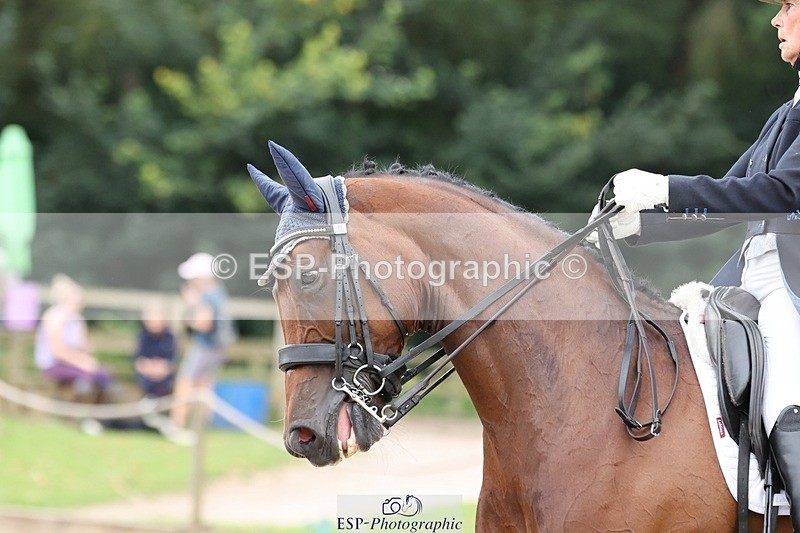 240810-151440-03938 - 231-Louise.Hutchinson-Donnarella