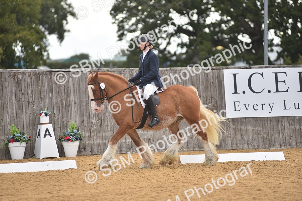 SBM_29617 - D16 -Small Tour Championship Novice 2