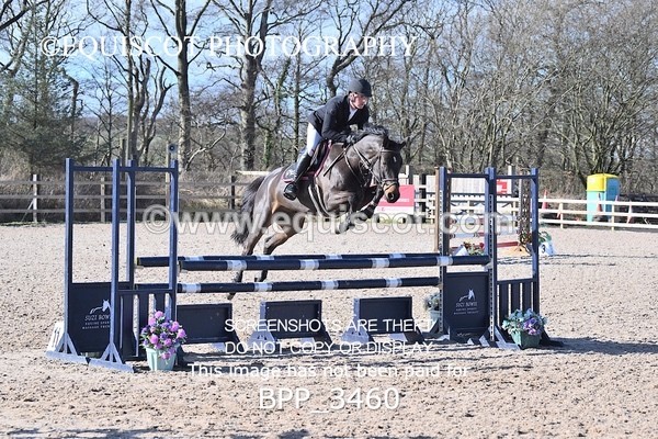 BPP_3460 - CLASS 4 Senior British Novice/ 90cm Open