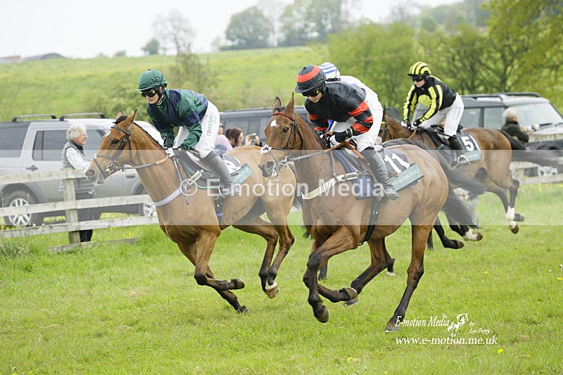 PtP 020522 111 - Mollington Races Point-to-Point 02/05/22