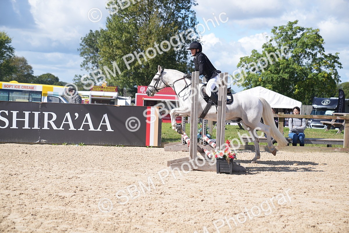 SBM_04090 - J34 Veteran 50cm Championship