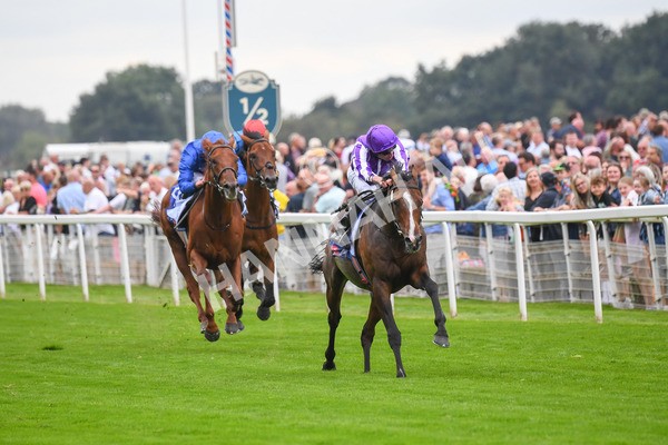 230823-Race 3-Continuous-0444 - Race 3 3.00pm Sky Bet Great Voltigeur Stakes