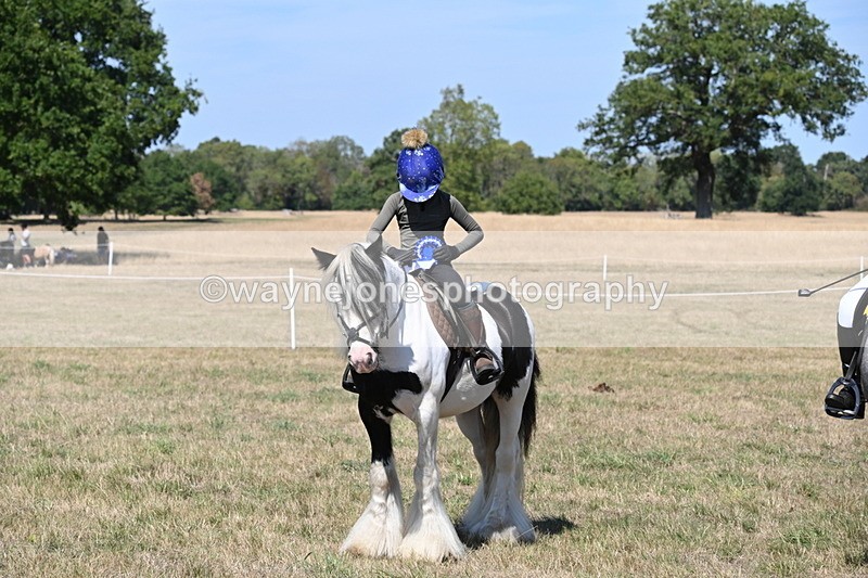 WJ6_9085 - Class 38 Ridden Riding Horse/Pony