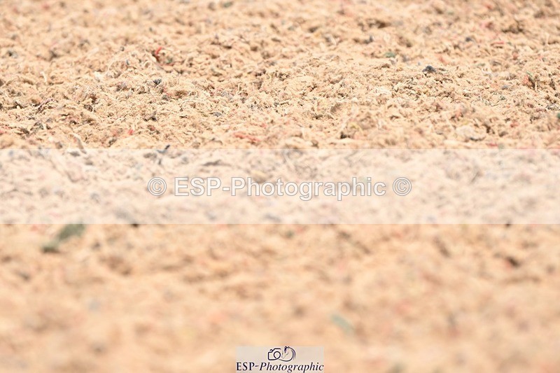 250620-122109-02928 - BD Cls 4 - Novice 5, 11.30am to 12.35pm